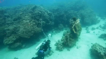 اكتشاف كنز أثري عمره 800 عام في البحر الأحمر السعودية يعيد كتابة التاريخ البحري 1